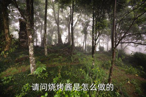 燒烤醬，請問燒烤醬是怎么做的
