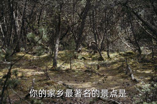 觀山寺，你的家鄉(xiāng)最著名的景點是