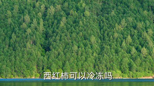  西紅柿可以冷凍嗎