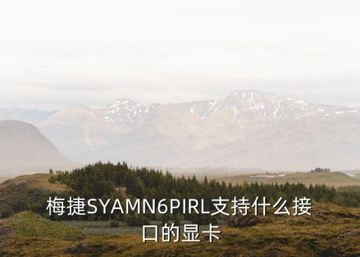 梅捷顯卡，梅捷SYAMN6PIRL支持什么接口的顯卡