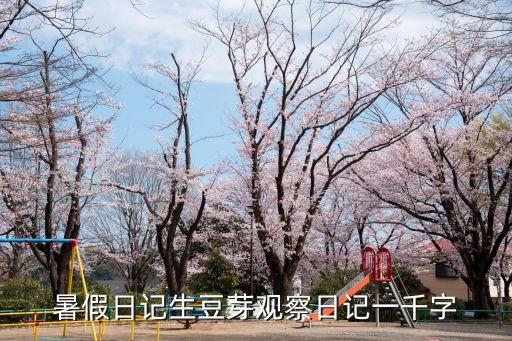 暑假日記生豆芽觀察日記一千字