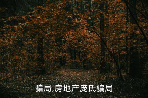 龐氏騙局,房地產(chǎn)龐氏騙局