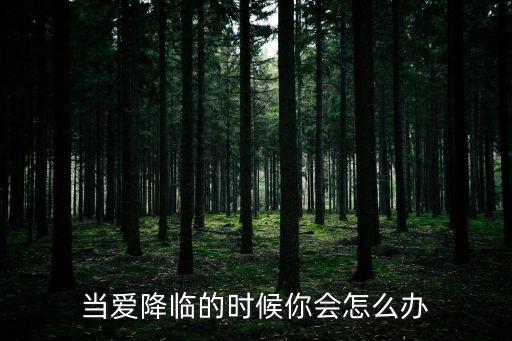 當愛降臨的時候你會怎么辦
