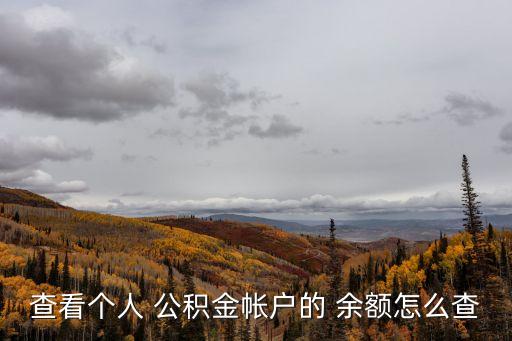 查看個(gè)人 公積金帳戶(hù)的 余額怎么查