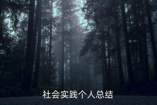 社會(huì)實(shí)踐個(gè)人總結(jié)