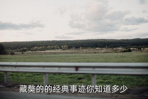 獒王,世界最昂貴的藏獒是什么樣子?