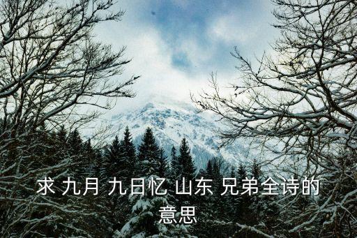 九月九日憶山東兄弟古詩,唐詩《九月九日憶山東兄弟》注釋是什么?