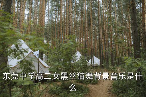 東莞市中學生舞蹈，放暑假了想在東莞學街舞不知道哪里有學我玉蘭中學初中畢業