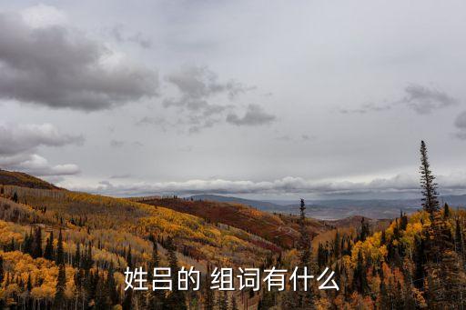呂字組詞,知音諳呂洞賓呂端大事不糊涂呂文輝:九鼎大呂