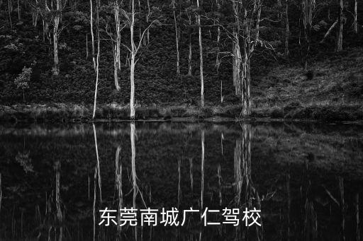 東莞南城廣仁駕校