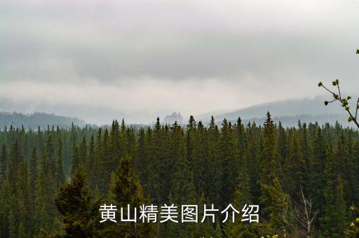 安徽黃山圖片，黃山的圖片