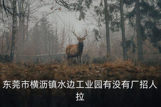 東莞橫瀝鎮招省模，橫瀝去哪招省模師傅