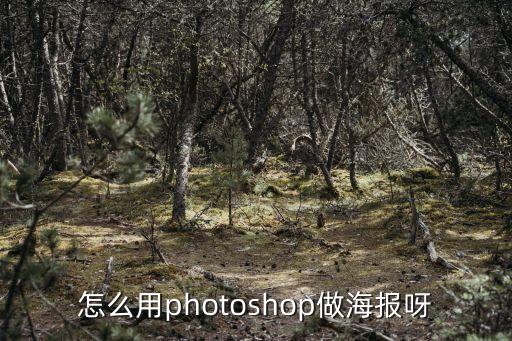 ps設計海報，如何用Photoshop制作海報