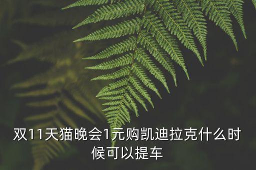 天貓晚會，天貓雙11晚會從那一年開始的