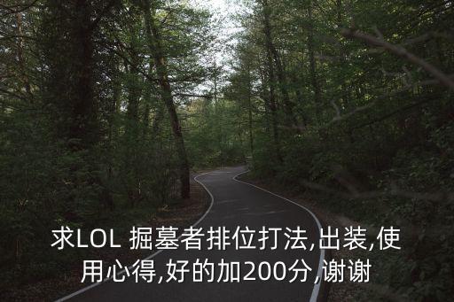 lol掘墓者,英雄聯盟掘墓者怎么玩?需要什么條件?