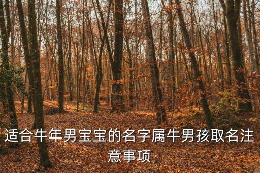 珝字五行屬什么,康熙字典:婭字五行屬什么?