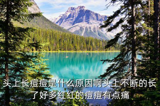 頭上長紅疙瘩是什么原因，頭上長紅疙瘩怎么回事
