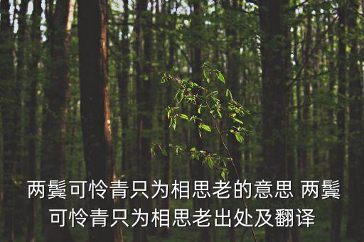  兩鬢可憐青只為相思老的意思 兩鬢可憐青只為相思老出處及翻譯