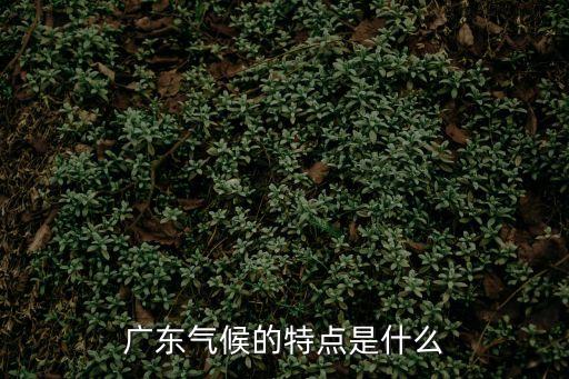 廣東省天氣,廣東冬天天氣多少度?