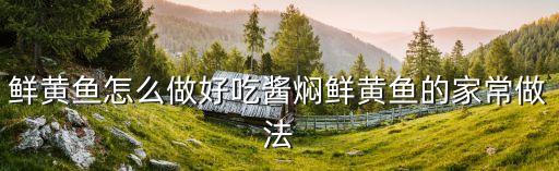 鮮黃魚怎么做好吃醬燜鮮黃魚的家常做法