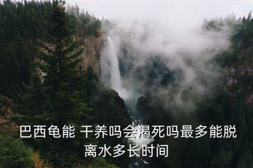 巴西龜可以干養(yǎng)嗎,巴西龜可以干養(yǎng)嗎?會(huì)渴死嗎?最多脫離水多長(zhǎng)時(shí)間