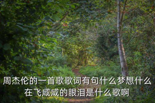 周杰倫的一首歌歌詞有句什么夢想什么在飛咸咸的眼淚是什么歌啊