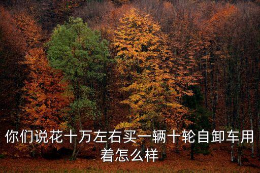 廣州二手十輪自卸車，你們說花十萬左右買一輛十輪自卸車用著怎么樣