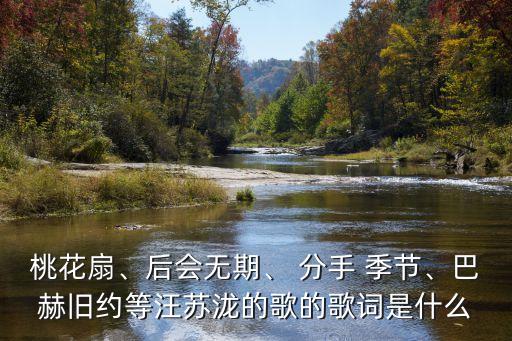 桃花扇、后會無期、 分手 季節、巴赫舊約等汪蘇瀧的歌的歌詞是什么