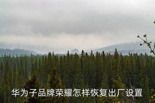 華為子品牌榮耀怎樣恢復出廠設置