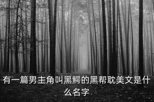 有一篇男主角叫黑鱷的黑幫耽美文是什么名字