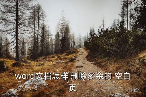 word文檔怎樣 刪除多余的 空白頁(yè)