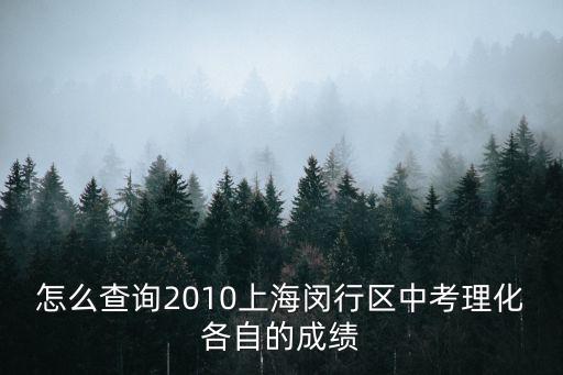 怎么查詢2010上海閔行區中考理化各自的成績
