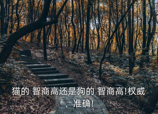 貓的 智商高還是狗的 智商高!權威、準確!