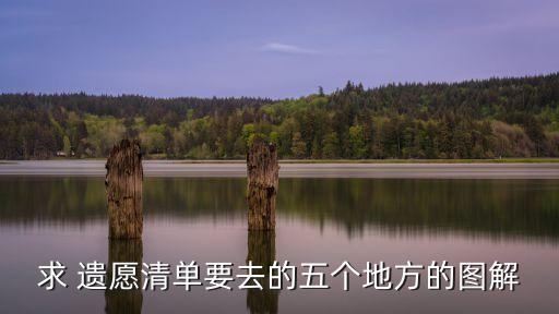 瑪拉的遺愿,求遺愿清單要去五個地方圖解