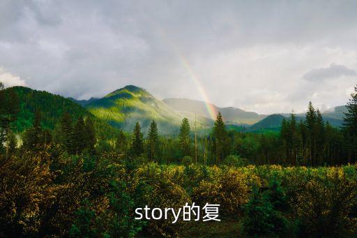 story的復數形式，story的復