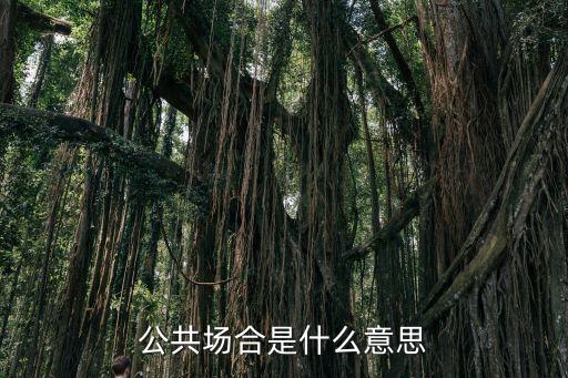 公共場合，公共場合場所的名詞解釋
