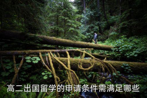 高二出國留學(xué)的申請條件需滿足哪些