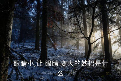  眼睛小,讓 眼睛 變大的妙招是什么