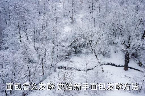 面包怎么發酵 烘焙新手面包發酵方法