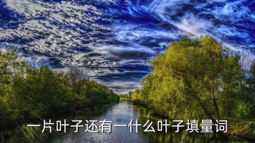 一片葉子，一片葉子代表什么意思