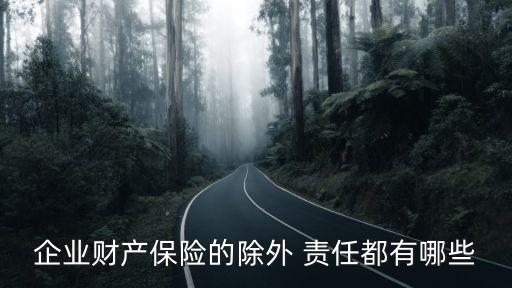 除外責任,保險公司不承擔除外責任條款含意什么?