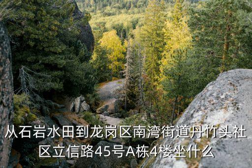 從石巖水田到龍崗區南灣街道丹竹頭社區立信路45號A棟4樓坐什么
