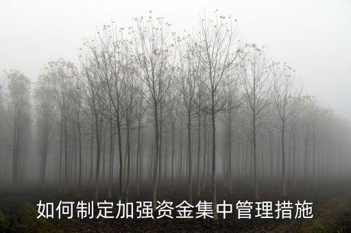 如何制定加強資金集中管理措施