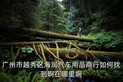 廣州北汽智達x34s店，北汽廣州分公司生產什么車