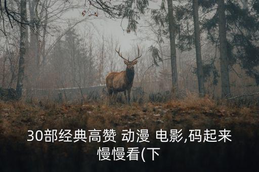 30部經(jīng)典高贊 動漫 電影,碼起來慢慢看(下