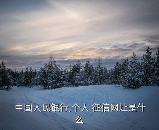 中國人民銀行征信中心,怎么在中國人民銀行征信中心網站查詢個人征信?