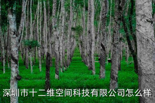 深圳市十二維空間科技有限公司怎么樣