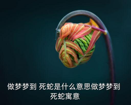 做夢夢到 死蛇是什么意思做夢夢到 死蛇寓意
