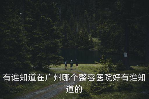 廣州那個整容醫院好速到美來善長，打聽下各位在廣州哪個整容醫院好 分享下