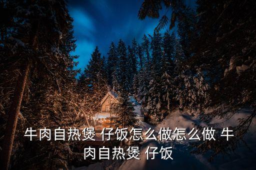  牛肉自熱煲 仔飯怎么做怎么做 牛肉自熱煲 仔飯